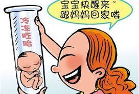 胚胎操作